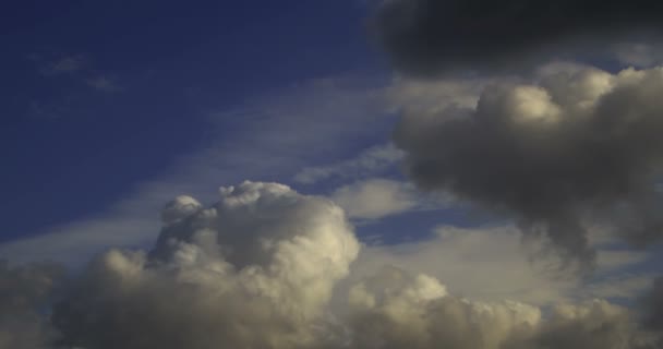 Cumulus Rain Clouds Motion Timelapse Dramatic Blue Sky — Stock Video