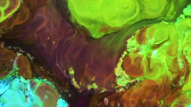 Liquid Colorful Paint Pattens Mix Slow Motion Liquid Color Paint — Stock Video