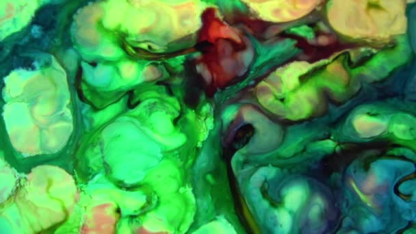 Liquid Colorful Paint Klappar Blanda Slow Motion Flytande Färg Mönster — Stockvideo