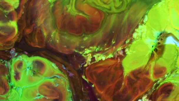 Liquid Colorful Paint Pattens Mix Slow Motion Liquid Color Paint — Stock Video