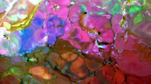 Рідкі Барвисті Фарби Змішують Повільному Русі Рідкі Кольорові Візерунки Фарби — стокове відео