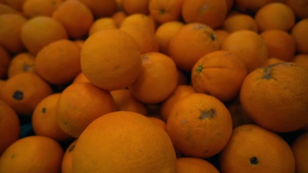 Mycket Trevlig Hög Med Gröna Orange Bilder — Stockvideo