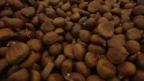 Very Nice Pile Chestnut — стоковое видео