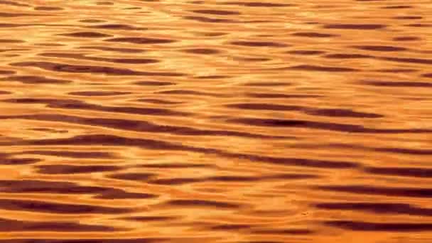 Very Nice Abstract Organic Orange Water Background Texture Footage — 비디오