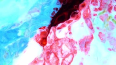 1920x1080 25 Fps. Çok Güzel Mürekkep Soyut Galaktik Renk Boyası Sıvı Doku Tasarımı Videosu.