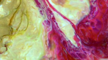 1920x1080 25 Fps. Çok Güzel Mürekkep Soyut Galaktik Renk Boyası Sıvı Doku Tasarımı Videosu.