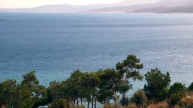 Çam ağaçlarının arkasındaki çok güzel okyanus manzarası..