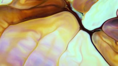 Psikedelik renkli renkli resimlerle soyut bir arkaplan. Sıvı boyanın hareket edip yavaşça kaymasıyla organik etki. Dönüyor ve yayılıyor.