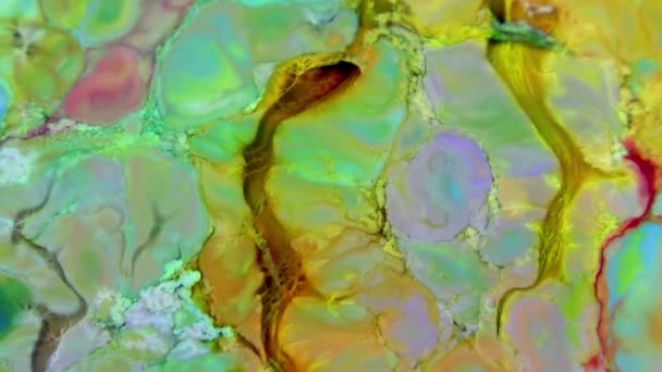Abstrakter Hintergrund Mit Psychedelischer Malerei Bunten Lebendigen Farben Organische Wirkung — Stockvideo