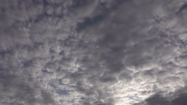 Nubes Lluvia Cúmulo Brillante Moviéndose Sobre Cielo Limpiar Claro Cumulus — Vídeos de Stock