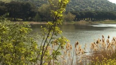 İlkbaharda Çok Güzel Göl.