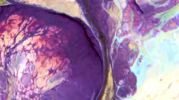 1920x1080 25 Fps. Très belle encre abstraite couleur galactique peinture liquide concept arrière-plan texture vidéo .