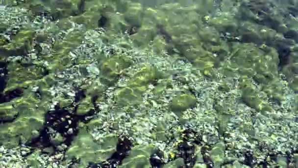 Meget Flot Pebble Stones Havet Optagelser – Stock-video