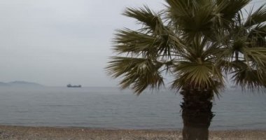 Avuç içi sahilde ve gemi denizde. Görüntüler..