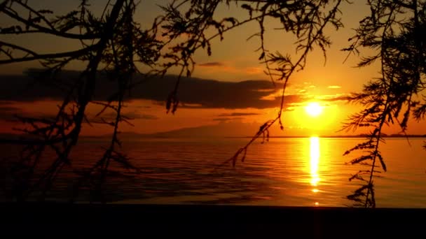 Perfekter Sonnenuntergang Über Dem Roten Ozean Mit Baumblättern — Stockvideo