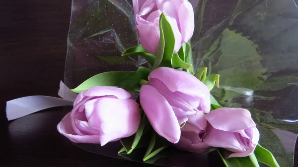 Мягкие Весенние Тюльпаны Международный Женский День — стоковое фото