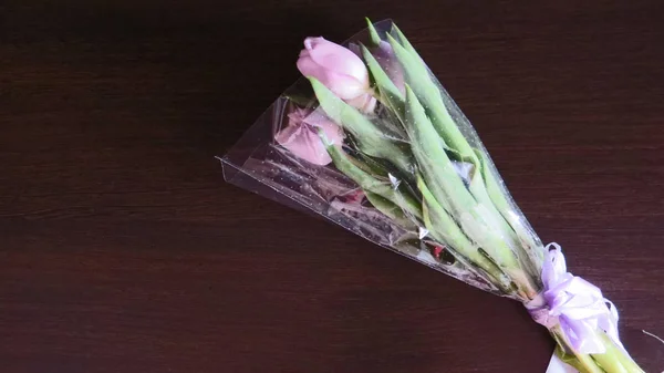 Douces Tulipes Printanières Journée Internationale Femme — Photo