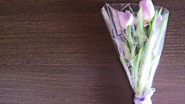 Nazik bahar Lale: Dünya Kadınlar Günü