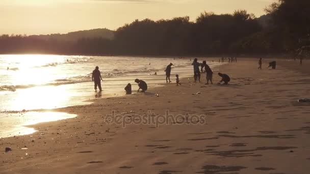 Nang Thaïlande Juillet 2017 Silhouettes Des Gens Sur Plage Océan — Video