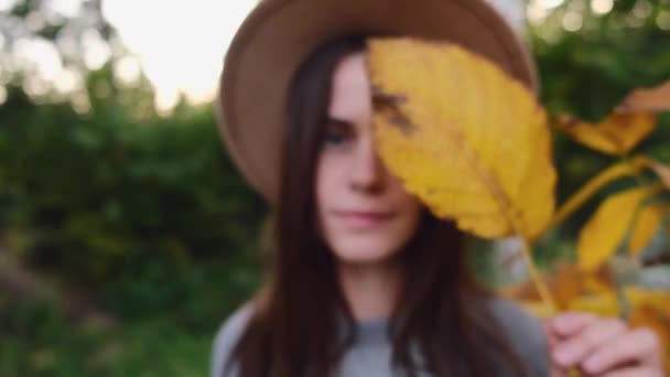 グレーのセーターと帽子の美しい笑顔のブルネットの女性の肖像は 秋の公園で彼女の顔の近くに落ちた葉を保持します ライフスタイル — ストック動画