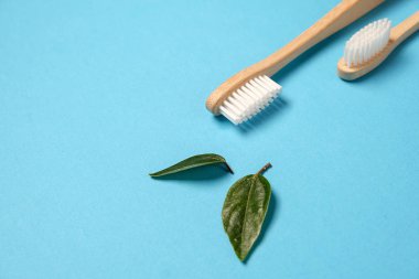 İki ahşap bambu çevre dostu diş fırçası ve mavi arka planda yeşil yaprak. Diş bakımı ve sıfır atık konsepti. Düz konum, üst görünüm, kopyalama alanı
