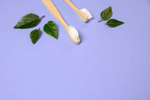 Sem desperdício. Duas escovas de dentes ecológicas de bambu de madeira e folha verde no fundo roxo. Cuidados dentários e Eco amigável e conceito de reutilização. Flat lay, vista superior, espaço de cópia — Fotografia de Stock