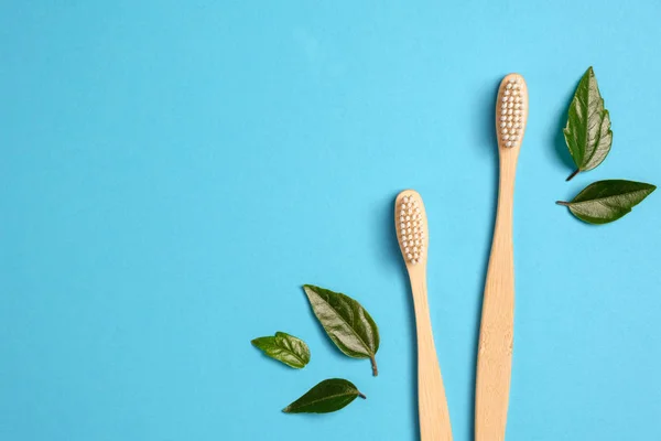 Zero waste. Two wooden bamboo eco friendly toothbrushes and green leaf on blue background. Dental care and Eco friendly and reuse concept. Flat lay, top view, copy space