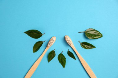 İki ahşap bambu çevre dostu diş fırçası ve mavi arka planda yeşil yaprak. Diş bakımı ve sıfır atık konsepti. Düz konum, üst görünüm, kopyalama alanı