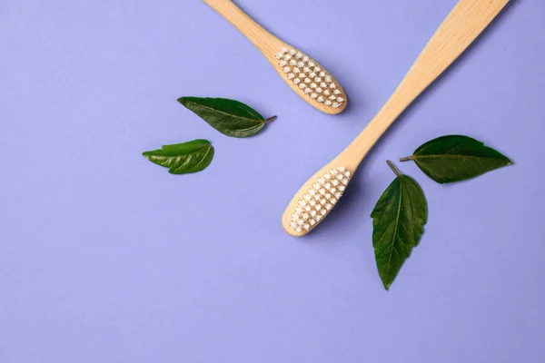 Sem desperdício. Duas escovas de dentes ecológicas de bambu de madeira e gree — Fotografia de Stock