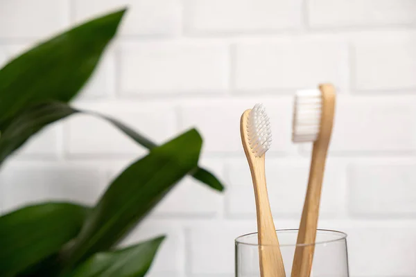 Närbild av två bambu tandborstar och gröna blad på en vit bakgrund. Det viktigaste i badrummet. Tandvård och noll avfall koncept. — Stockfoto