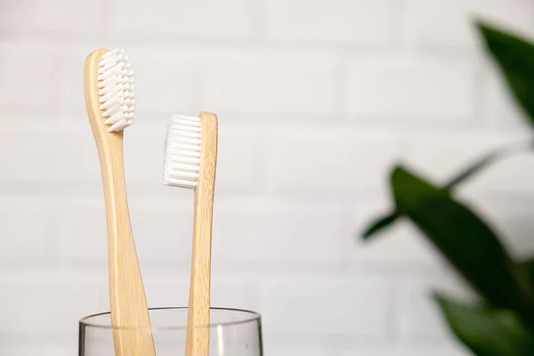 Close up de duas escovas de dentes de bambu e folha verde em um fundo branco. Essenciais da casa de banho. Assistência odontológica e conceito de zero desperdício . — Fotografia de Stock