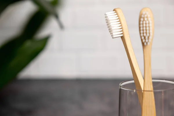 Duas escovas de dentes de bambu naturais eco e folha verde. Estilo de vida sustentável e zero desperdício de casa. Cuidados dentários e Eco amigável e conceito de reutilização. Espaço de cópia — Fotografia de Stock