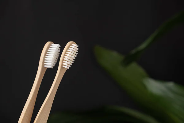 Närbild av två bambu tandborstar och gröna löv på en mörk bakgrund. Det viktigaste i badrummet. Tandvård och noll avfall koncept. — Stockfoto