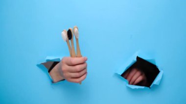 Kadın ellerinin kapalı olması başparmak hareketi yapar, yırtık mavi bir duvarın içinden bambu eko diş fırçalarını gösterir. Diş bakımı ve çevre dostu ve yeniden kullanım kavramı