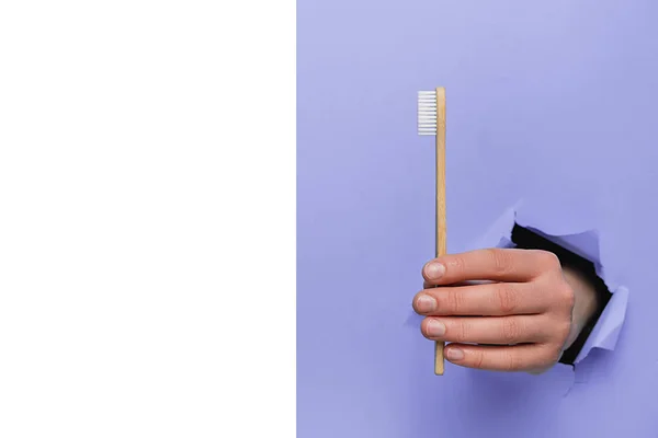 Female hand holding bamboo eco toothbrushes through a torn purple paper wall. Dental care and Eco friendly and reuse concept. Copy space aside for your advertising content — Stock Photo, Image