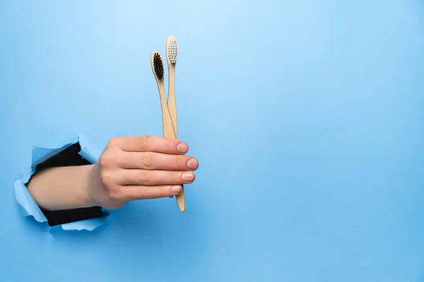 Female hand holding two bamboo eco toothbrushes through a torn b — Stock Photo, Image