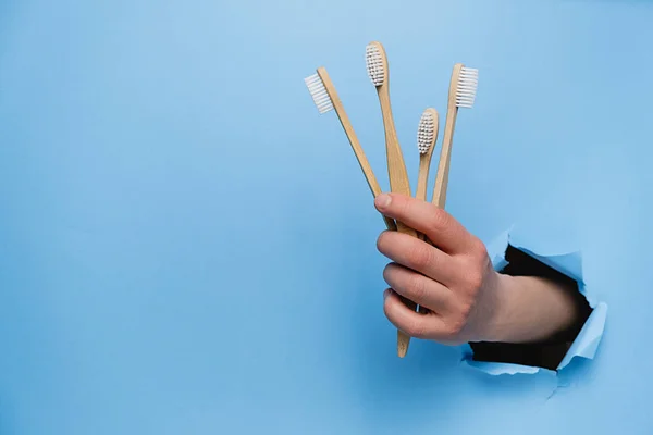 Cuidado dental y concepto ecológico y de reutilización. Primer plano de la mano femenina sosteniendo cepillos de dientes ecológicos de bambú a través de una pared de papel azul rasgado. Copiar el espacio a un lado para su contenido publicitario — Foto de Stock
