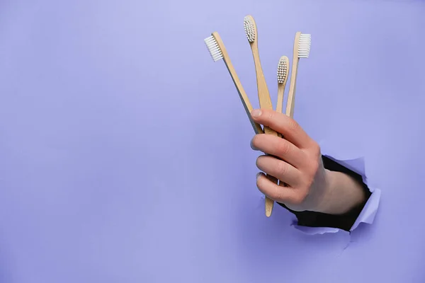 Mano femenina sosteniendo cepillos de dientes ecológicos de bambú a través de una pared de papel morado desgarrada. Cuidado dental y concepto ecológico y de reutilización. Copiar el espacio a un lado para su contenido publicitario — Foto de Stock