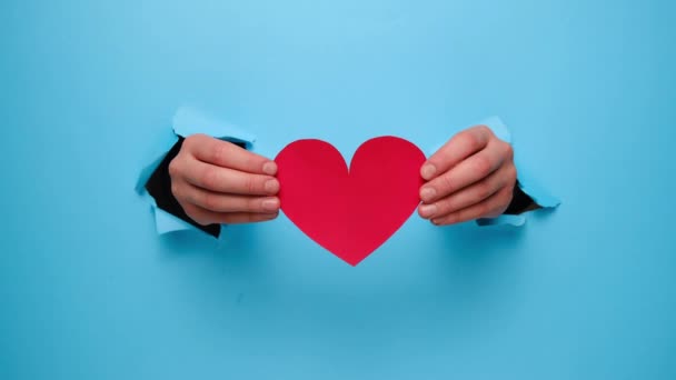 Holiday Background Close Female Hands Holding Red Paper Hearts Torn — 비디오