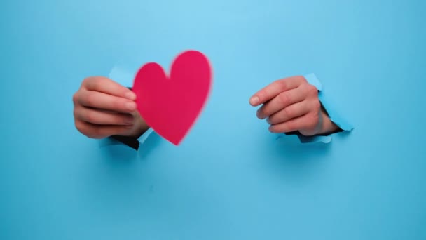 Fondo Vacaciones Acercamiento Manos Femeninas Sosteniendo Corazones Papel Rojo Través — Vídeos de Stock