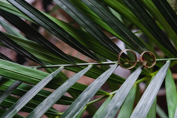 Immagine Orizzontale Una Bella Elegante Due Anelli Nuziali Oro Foglia — Foto Stock