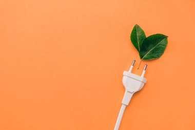 Yaratıcı üst görünüm düz elektrik prizi yatağı, turuncu arka planda kopyalanmış taze yeşil yapraklar. Enerji kavramını kaydet.