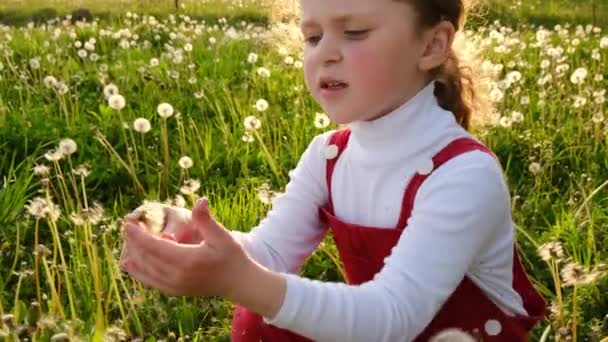 Nettes Kleines Mädchen Mit Löwenzahn Den Händen Und Pustet Posiert — Stockvideo