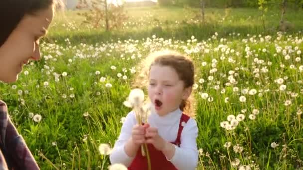 Веселая Молодая Мама Весёлая Маленькая Дошкольница Летом Дующая Цветок Одуванчика — стоковое видео