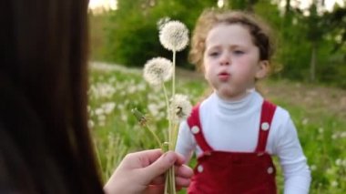 Neşe dolu genç bir annenin parkta küçük tatlı bir anaokulu kızıyla oynaşıp karahindiba çiçeğine üflemesi. Mutlu anne, dadı ve küçük çocuk gün batımında dışarıda eğleniyorlar..