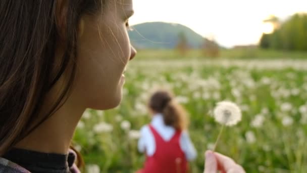 遊び心のある明るい就学前の子供の近くの公園でタンポポを抱えている若いお母さんのサイドビュー 閉じる家族は夏の週末に自然を楽しむ 選択的フォーカス スローモーション — ストック動画