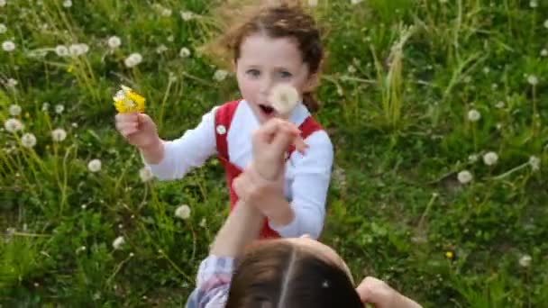 喜びに満ちた若いお母さんや乳母の遊び心のトップビューは 背景の緑の公園で夏にタンポポの花を吹いてかわいい未就学児の娘と楽しみを持っています 家族の週末のコンセプト — ストック動画