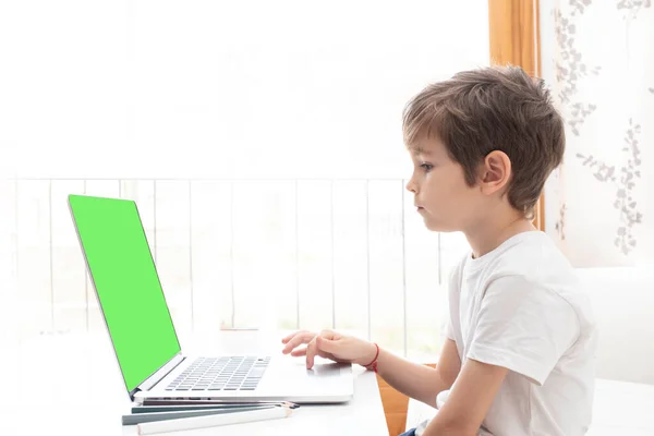 Een Jongetje Dat Thuis Aandachtig Naar Het Laptopscherm Kijkt Chroma — Stockfoto
