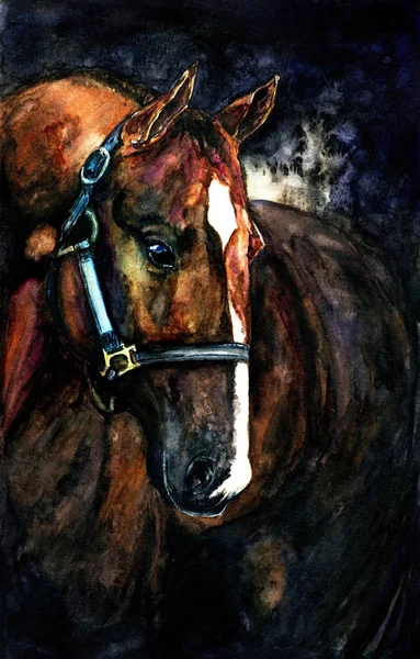 Dark Horse Aquarel — Stockfoto