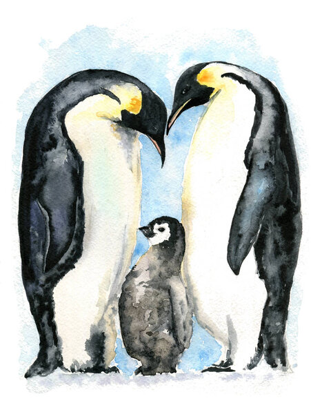Pingouins Impériaux Aquarelle Illustration — Photo